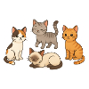 Cats Group of Four Cartoon
