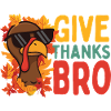 Give Thanks Bro Funny Thanksgiving Attitude