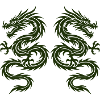 Double Yin Dragon Graphic