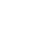 Twin Dragon Tribal Symmetry