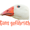 Ganz Gefährlich Gänsekopf