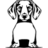 Dachshund T-shirt Gift Idea