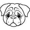 Pug Dogs T-shirt