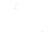 Seagulls Club