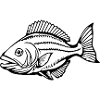 Fish Angler T-shirt Gift