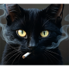 Røyking av katt Generasjon Z Meme Katt som røyker