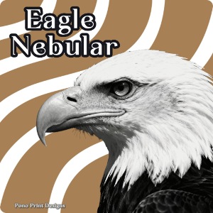 EAGLE NEBULAR Latest Logo