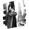 NYC Lama