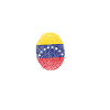 ADN vénézuélien Venezuela Drapeau hispanique
