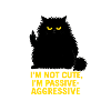 I'm Not Cute – Mr. Cuddly Stuff