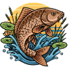 Carp Fishing Fishing