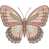 Papillon bohème