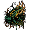Flame Frog on Leaf