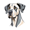 Dane Dog Head Portrait