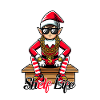 Shelf Life Christmas Hip Hop Elf