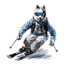 Husky Dog Ski Skiing