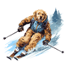 Golden Retriever Dog Ski Skiing