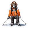 Beagle chien Ski Ski