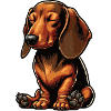 Dachshund, Dachshund Owner, Dachshund Lover, Dachshund