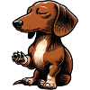 Dachshund, Dachshund Owner, Dachshund Lover, Dachshund