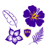 Purple Hibiscus Shield 974