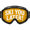 Ski You Later – Grunge Ski Goggles