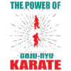 Goju-Ryu Karate Zanshin Design