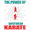 Shotokan Karate Zanshin Design