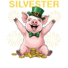 Silvester Outfit