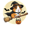 mignon cochon d’Inde sorcière Halloween