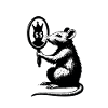Rat devant le miroir