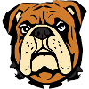 personalized bulldogs gift t-shirt dogs