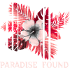 Paradise Found Tropical Hibiscus