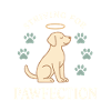 Striving for Pawfection Dog