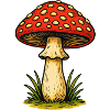 Red Toadstool Retro