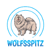 Wolfspitz est un ami allemand Wolfspitz