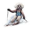 Poodle Dog Ski Skiing