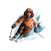 Teckel Chien Teckel Ski Ski