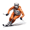 Greyhound Chien Ski Ski