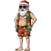 Santa Claus Summer Holiday Santa