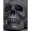 Glittering Skull in Darkness