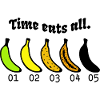 Banane Lebenszyklus