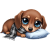 Cuddly dog with scarf and pillow