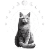 Mondphasen-katzen-mond-katzenliebhaber-design