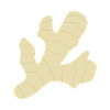 gingembre