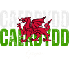 Cardiff Wales, Welsh pride