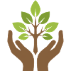 Hands Holding Tree | Nature Conservation Symbol
