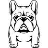 personalized bulldogs gift t-shirt dogs