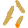 Turmeric Root Trio Minimalist