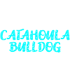 Catahoula Bulldog